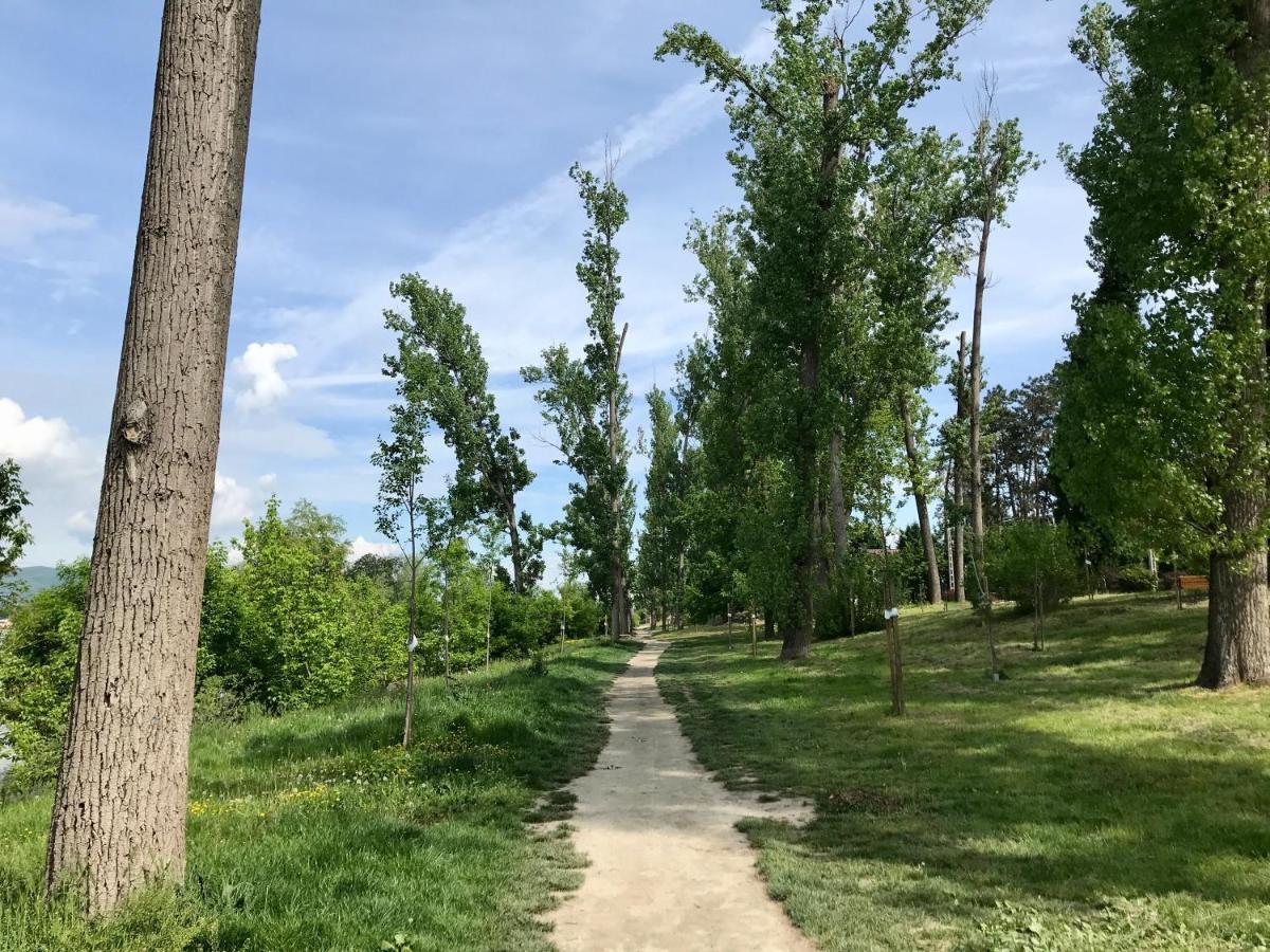 Lovely Nest Near Budapest دوناكيزي المظهر الخارجي الصورة